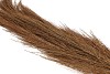 DRY BUNCH CHINESE BROME GOLD L110CM