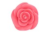 KAARS ROOS FUCHSIA 14X12CM 2022