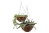 RATTAN BASKET HANG 35X16CM NM
