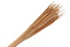 DRY TYPHA NATUREL PER 50