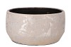 DUBAI BLUSHING ROSE COUPE 25X12CM