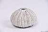 AQUIN VASE CREME 9X6CM
