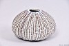 AQUIN VASE CREAM 11X7CM