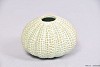 AQUIN VASE AQUA 9X6CM