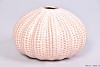 AQUIN VASE LIGHT PINK 15,5X10CM