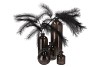 DRY GLASS BLACK CLEAR BOUTEILLE 11X25CM