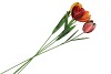 TUINPRIKKER TULP METAAL 61CM ASS P/1