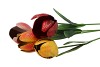 TUINPRIKKER TULP METAAL 61CM ASS P/1