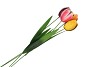 TUINPRIKKER TULP METAAL 75CM ASS P/1