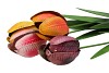TUINPRIKKER TULP METAAL 75CM ASS P/1
