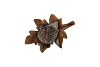 HEDGEHOG POLY ON LEAF NATURAL 10CM NM