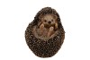 HEDGEHOG POLY ON BACK 12X11X12CM