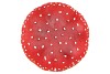 MUSHROOM RED 19X21CM P/1 NM