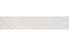 RIBBON FLOW 70 CHAMPAGNE 20MX80MM NM