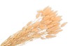 DRY LAGURUS PEACH P/50 GRAM