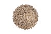 SPARKLE CHAMPAGNE TREE 15X40CM