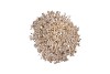 SPARKLE CHAMPAGNE TREE BALL 13X45CM
