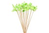 PICK BIRD ON STICK LIGHT GREEN P/1 11X4X50CM