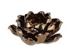 WAXINE SUCCULENT MAGNOLIA SHINY BRONZE 10X11CM