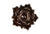 WAXINE SUCCULENT MAGNOLIA SHINY BRONZE 10X11CM
