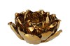 WAXINE SUCCULENT MAGNOLIA SHINY GOLD 10X11CM