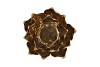 WAXINE SUCCULENT MAGNOLIA SHINY GOLD 10X11CM