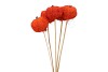 BIJSTEKER SISAL PUMPKIN ORANJE P/5