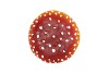MUSHROOM RED 12X12CM P/1NM
