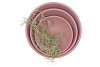 VINCI PINK BOWL LOW SPHERE SHADED 30X9CM