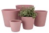 VINCI ROZE POT CONTAINER 24X22CM