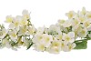SILK HORTENSIA 3X WHITE 87CM