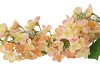 SILK HORTENSIA 3X PEACH 87CM