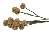 SILK SCABIOSA TAK LIGHT PINK 68CM