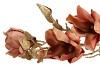 SILK MAGNOLIA GOLD OLD PINK 77CM