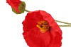 SILK POPPY LEAF RED 96CM NM