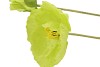 SILK POPPY LEAF GREEN 96CM NM