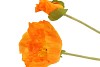 SILK POPPY LEAF LIGHT ORANGE 96CM NM