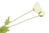 SILK POPPY LEAF WHITE 96CM NM