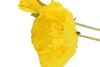 SILK POPPY LEAF YELLOW 96CM NM