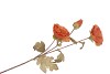SILK POPPY 3X LIGHT PINK 76CM