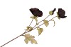 SILK POPPY TAK BLACK 96CM NM
