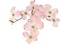 SILK KORNOELJE LICHT ROZE 105CM