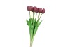 SILK TULIP 7X MAUVE 43CM NM