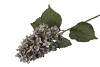 SILK HORTENSIA PLUME LAVENDEL 99CM