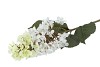 SILK HORTENSIA PLUME WHITE 99CM