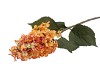SILK HORTENSIA PLUME FUCHSIA 99CM