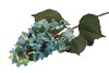 SILK HORTENSIA PLUME BLUE 99CM