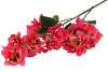 SILK BOUGAINVILLE BEAUTY 106CM