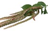 SILK AMARANTHUS GREEN 132CM