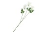 SILK TILLANDSIA WHITE 79CM